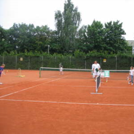 db_IMG_16251_Tb270x270jpg.png